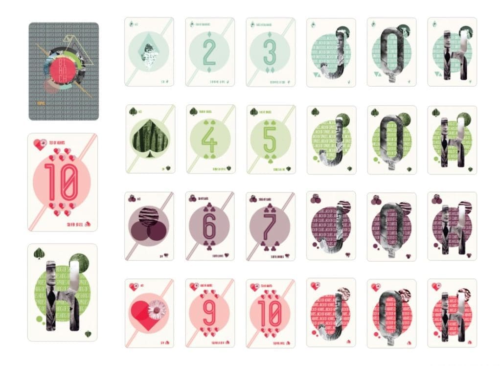 Illustrated insect and botanical specimen collection