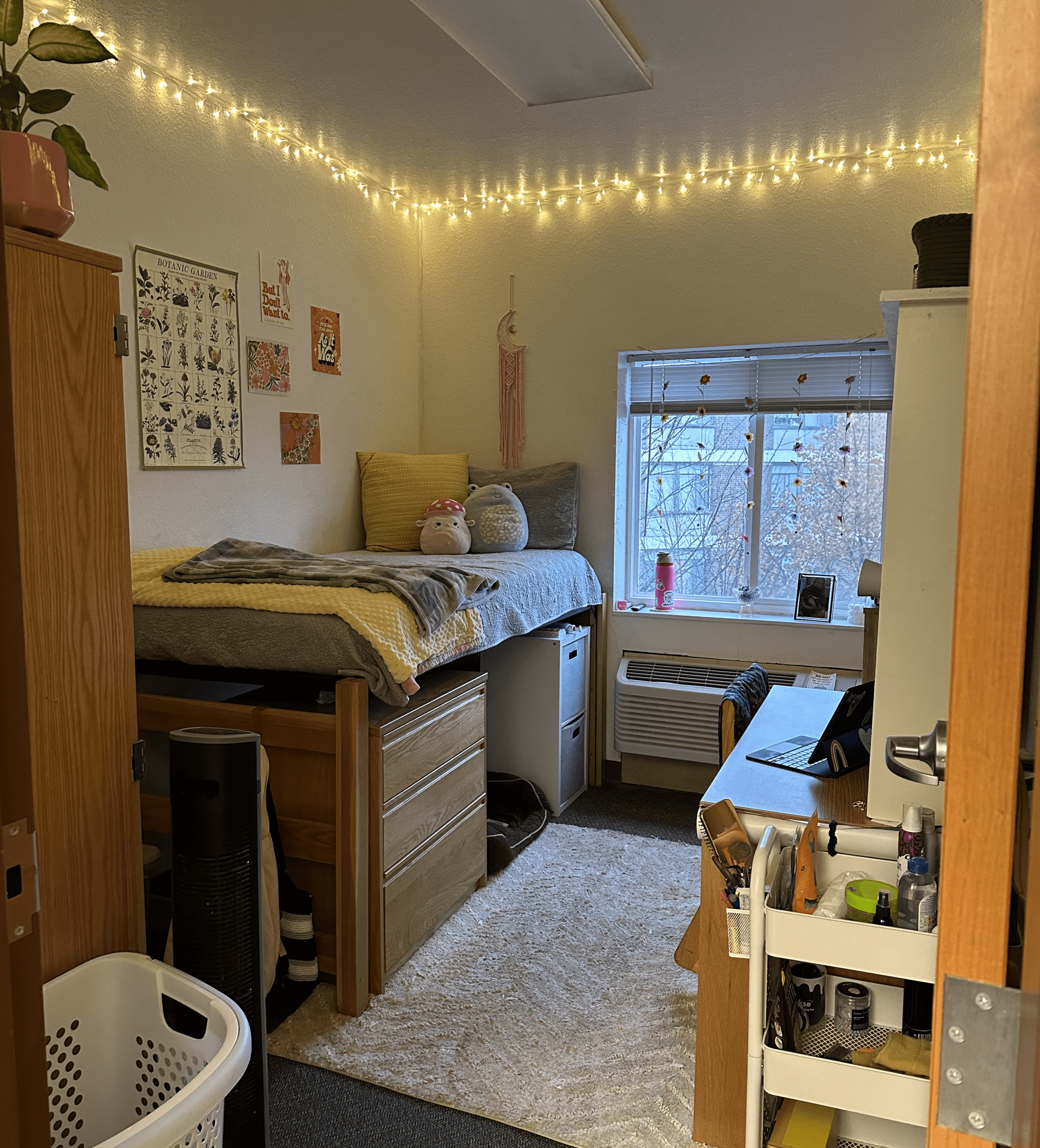 Bright campus room with seating area, plants, and study workspace