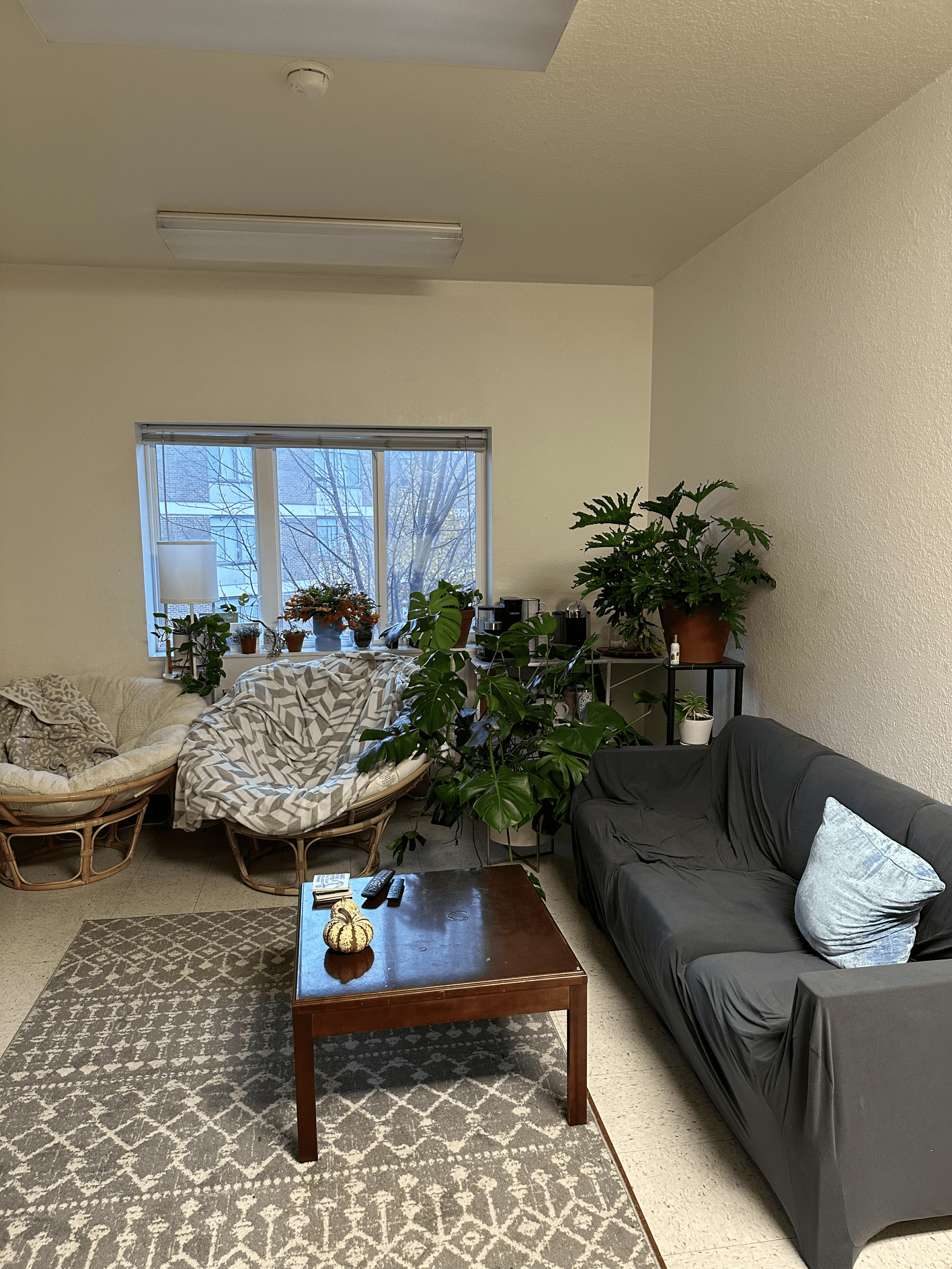 Interior view of furnished campus room with bed, desk, and seating area